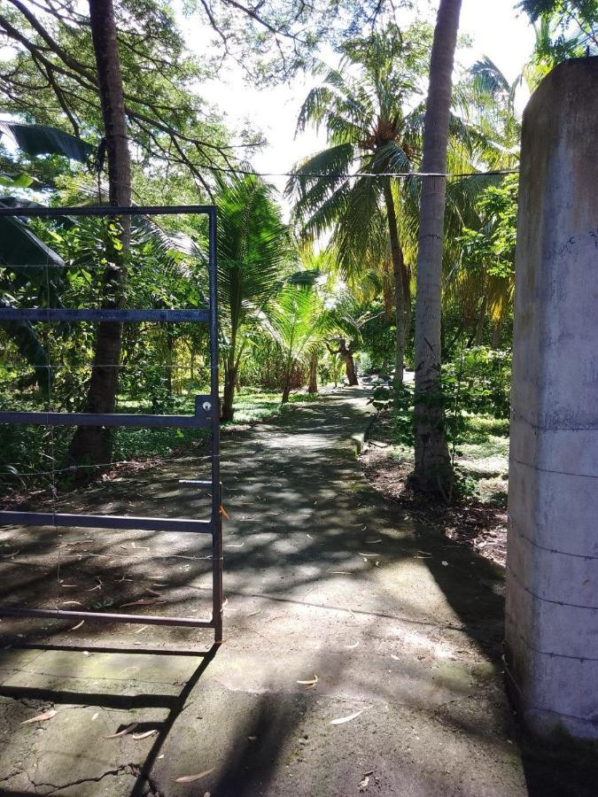 Albergue Rancho Tranquillo Moyogalpa Exterior foto