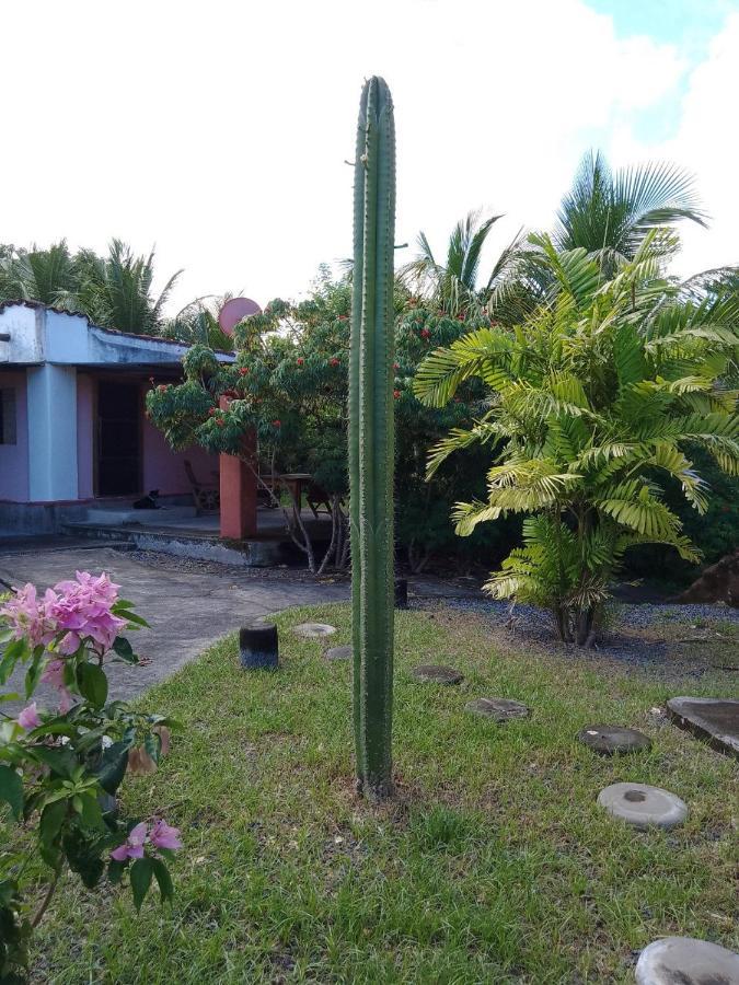 Albergue Rancho Tranquillo Moyogalpa Exterior foto