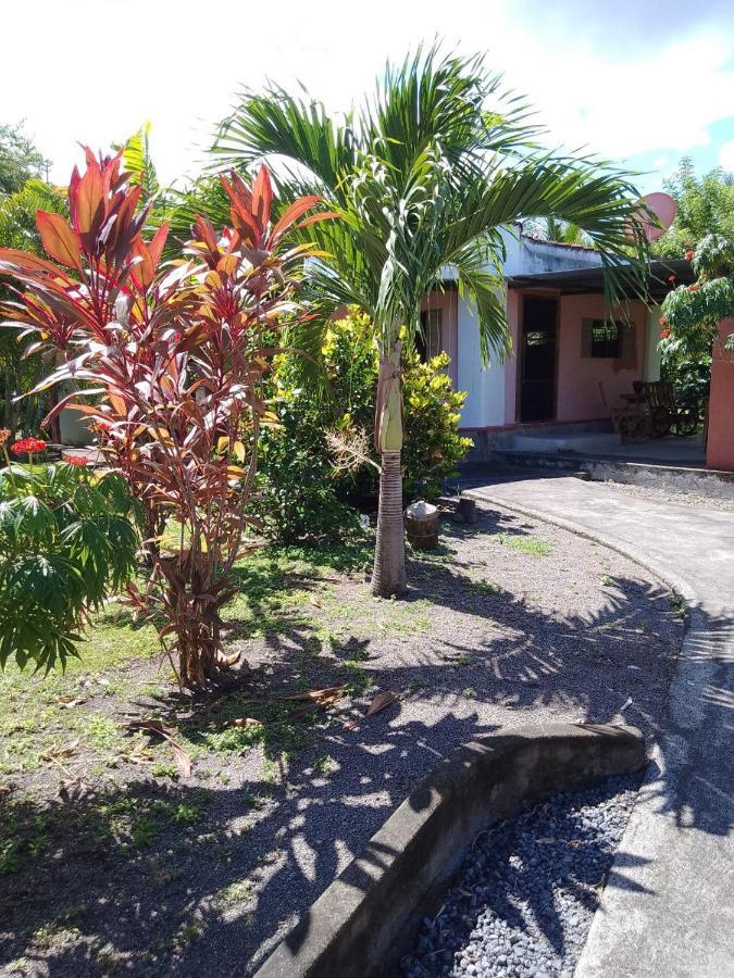 Albergue Rancho Tranquillo Moyogalpa Exterior foto