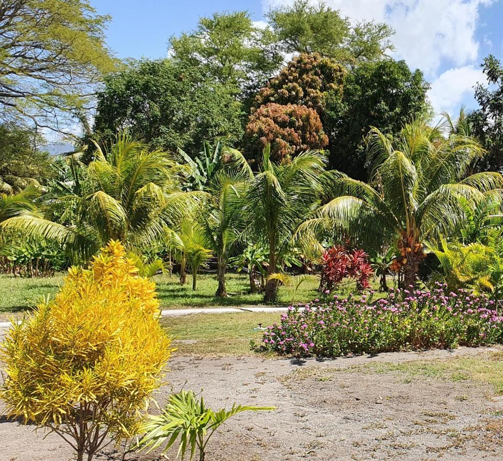 Albergue Rancho Tranquillo Moyogalpa Exterior foto